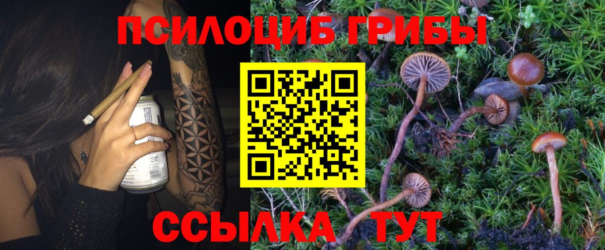 Галлюциногенные грибы Magic Shrooms Заречный