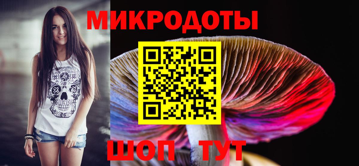 Псилоцибиновые грибы Psilocybine cubensis  как найти закладки  Заречный  Вход с VPN 
